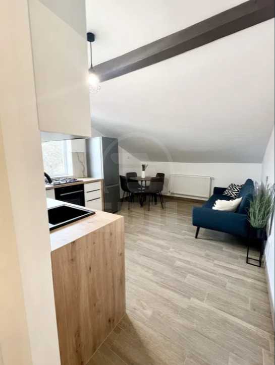 Inchiriere Apartament 1 camera BORHANCI-4