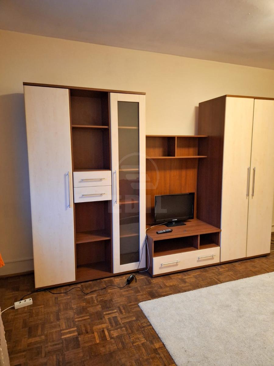Inchiriere Apartament 2 camere CENTRAL-7