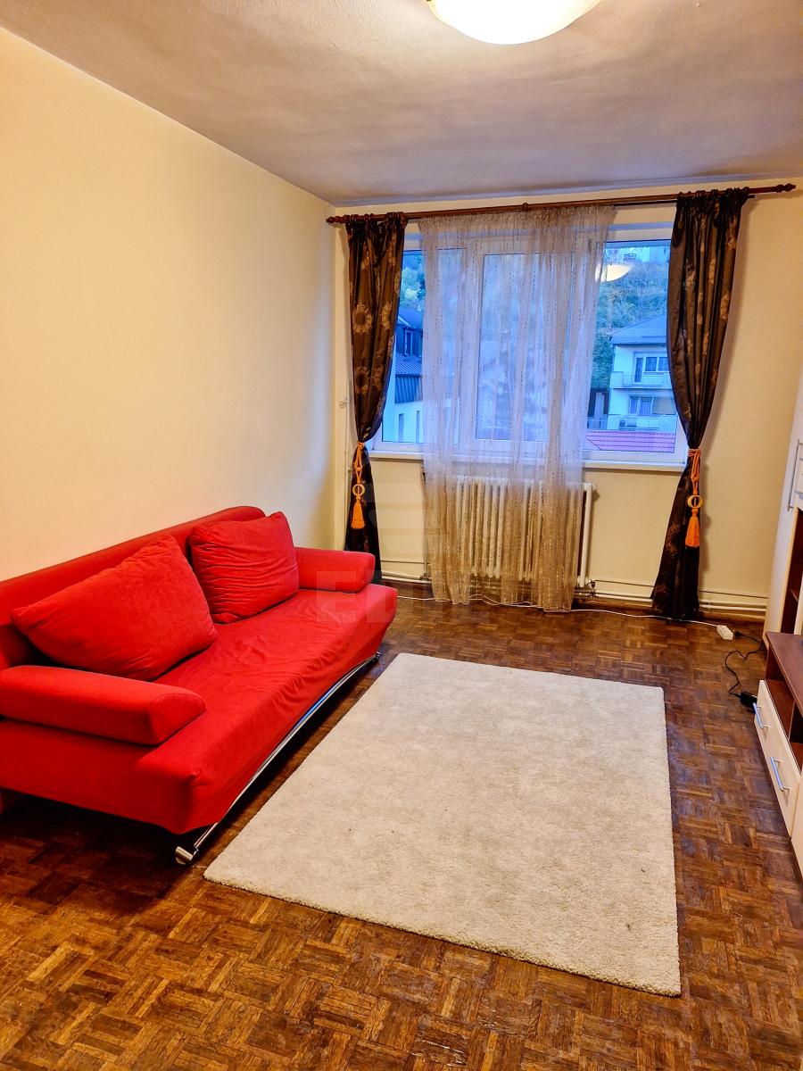 Inchiriere Apartament 2 camere CENTRAL-5