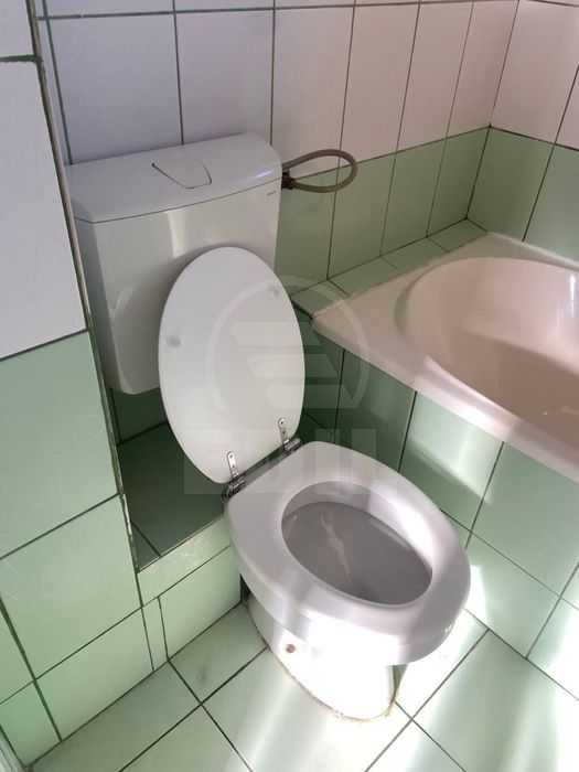 Inchiriere Apartament 1 camera DAMBU ROTUND-7