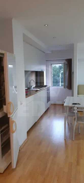 Inchiriere Apartament 1 camera MANASTUR-9