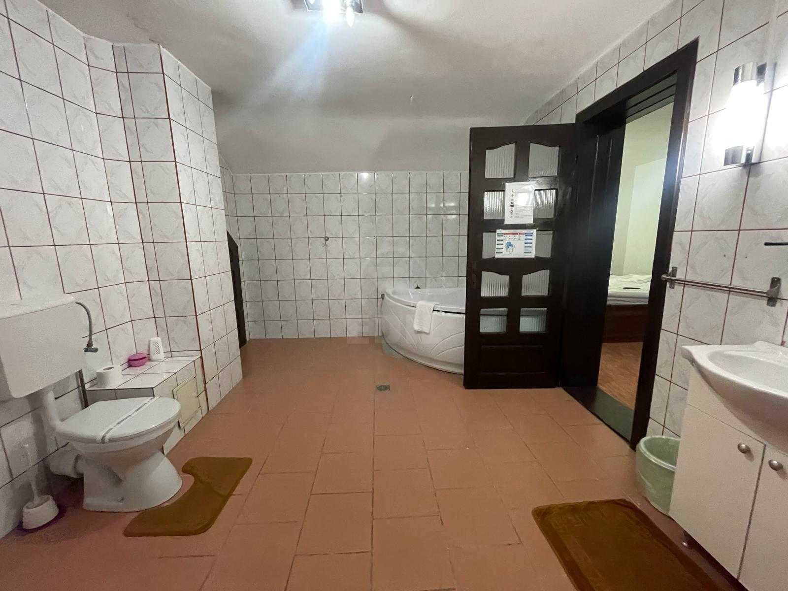 Inchiriere Casa 13 camere ZORILOR-20