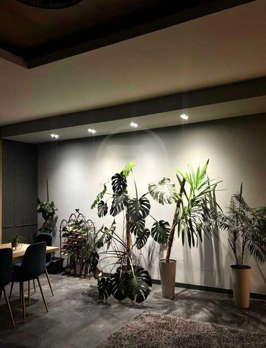 Inchiriere Apartament 3 camere BORHANCI-5