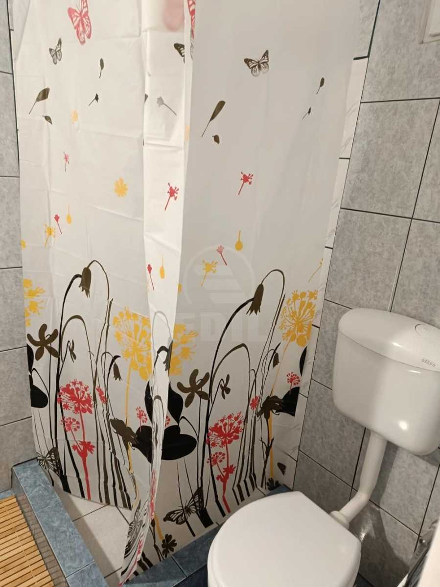 Inchiriere Garsoniera 1 camera CENTRAL-10