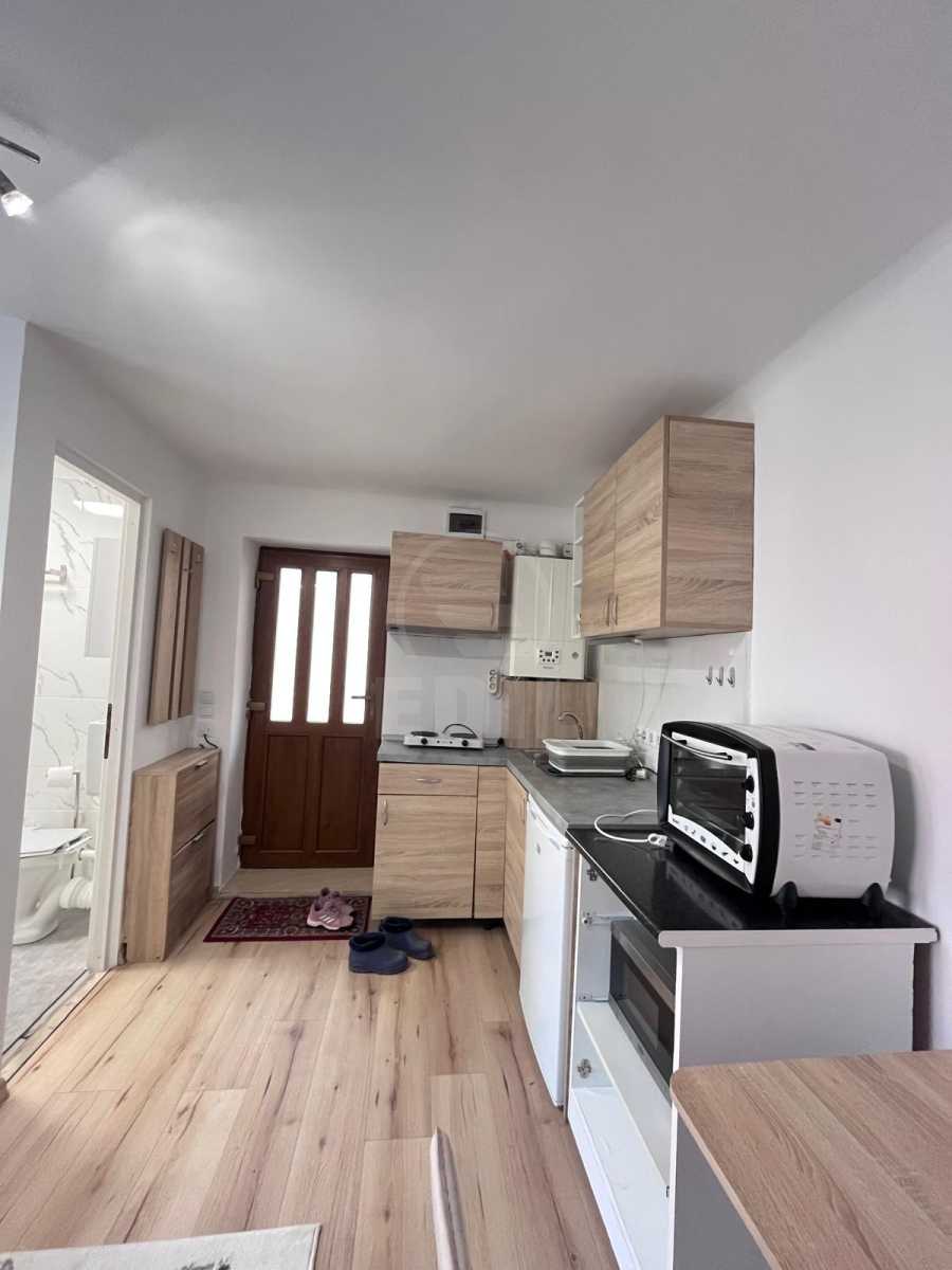 Inchiriere Garsoniera 1 camera CENTRAL-4