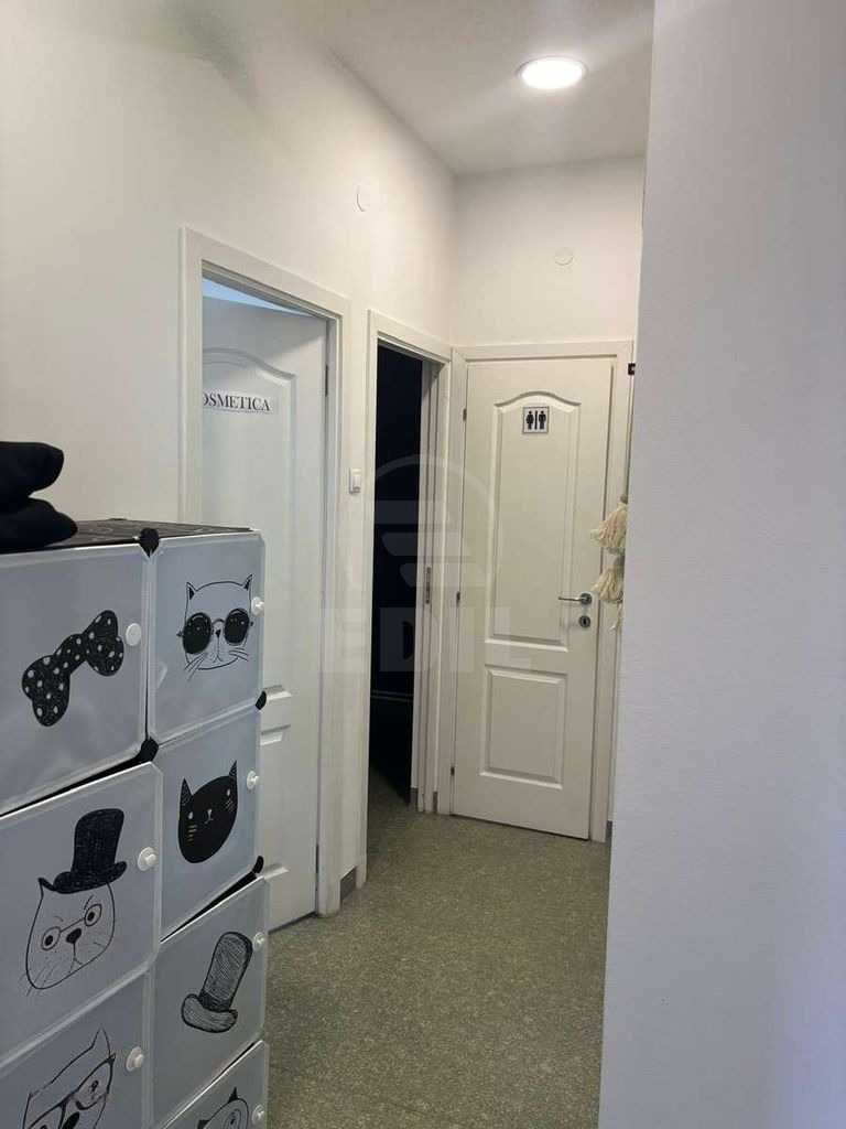 Inchiriere Spatiu comercial 3 incaperi SOMESENI-4